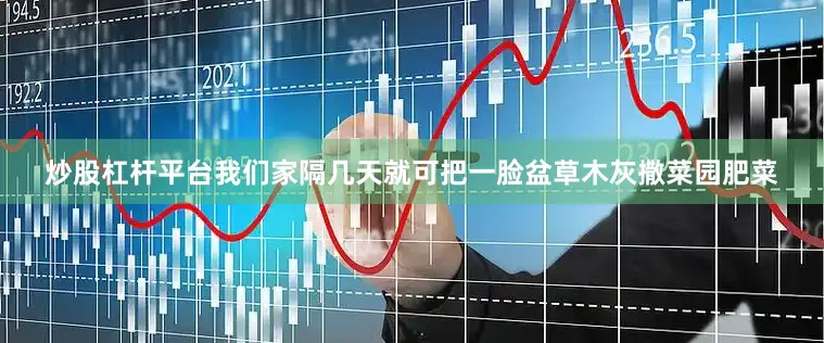 炒股杠杆平台我们家隔几天就可把一脸盆草木灰撒菜园肥菜