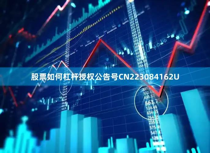 股票如何杠杆授权公告号CN223084162U